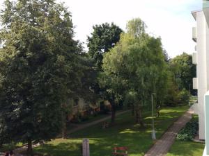 Pronájem bytu 1+1, Hustopeče, Školní, 30 m2