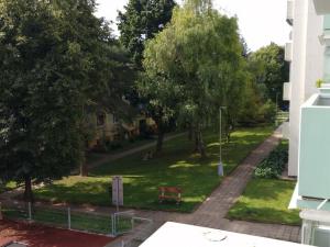 Pronájem bytu 1+1, Hustopeče, Školní, 30 m2