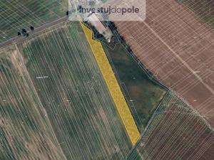 Prodej pozemku, Šardice, 11718 m2