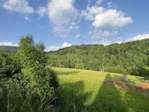 Prodej pozemku, Zlatá Olešnice, 1101 m2