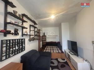 Pronájem bytu 1+1, Chomutov, Jiráskova, 32 m2