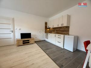 Pronájem bytu 1+1, Kadov - Vrbno, 45 m2