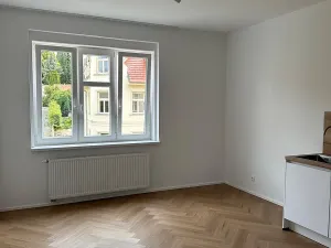 Pronájem bytu 2+kk, Praha - Břevnov, Šlikova, 50 m2