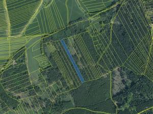 Prodej lesa, Hradiště, 5650 m2