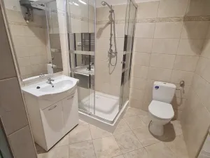 Pronájem bytu 1+1, Praha - Vinohrady, Řipská, 42 m2