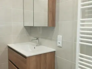 Pronájem bytu 1+1, Plzeň, Družby, 37 m2