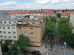Prodej bytu 2+1, Praha - Žižkov, Biskupcova, 69 m2