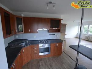 Pronájem bytu 2+kk, Ostrava, Řecká, 70 m2
