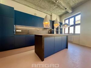 Pronájem bytu 3+kk, Brno, Peroutková, 77 m2