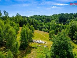Prodej pozemku, Dlouhý Most, 8531 m2