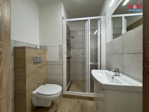 Prodej bytu 2+1, Opava - Předměstí, Otická, 42 m2