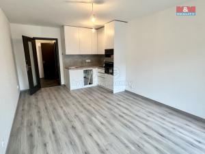 Pronájem bytu 1+kk, Praha, Otická, 34 m2