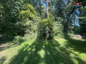 Prodej lesa, Vysoká Pec - Drmaly, 4812 m2