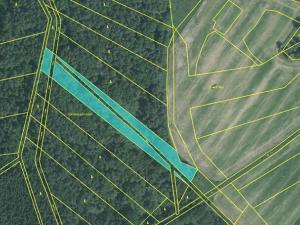 Prodej pozemku, Suchdol nad Lužnicí, 9041 m2