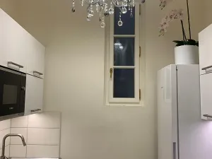 Pronájem bytu 1+1, Praha - Nové Město, V tůních, 33 m2