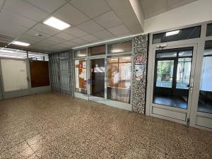 Pronájem bytu 1+kk, Brno - Lesná, Halasovo náměstí, 21 m2