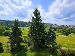 Prodej bytu 4+1, Jablonec nad Nisou, Vlaštovčí, 77 m2