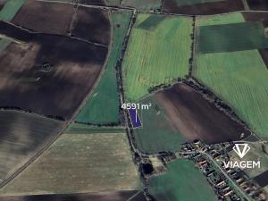 Prodej podílu pole, Pňov-Předhradí, 1912 m2