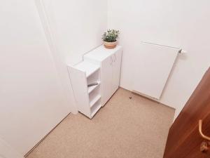 Pronájem bytu 2+kk, Brno, Berkova, 44 m2