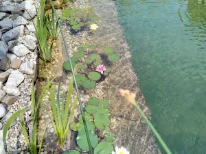 Prodej rodinného domu, Slavkov u Brna, Sušilova, 58 m2