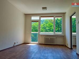 Prodej bytu 1+1, Ústí nad Labem - Střekov, Tolstého, 45 m2