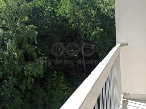 Prodej bytu 1+1, Ústí nad Labem - Střekov, Tolstého, 45 m2