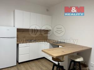 Pronájem bytu 1+kk, Ostrava - Nová Ves, Na Lánech, 30 m2