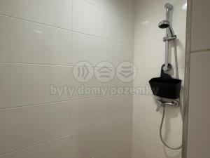 Pronájem bytu 1+kk, Ostrava - Nová Ves, Na Lánech, 30 m2