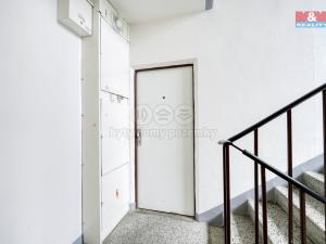 Pronájem bytu 2+kk, Plzeň - Severní Předměstí, Bzenecká, 38 m2