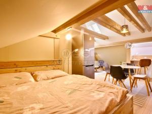 Prodej bytu 1+kk, Jindřichův Hradec - Jindřichův Hradec III, Mlýnská, 65 m2
