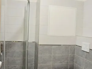 Pronájem bytu 1+kk, Olomouc, Janského, 35 m2