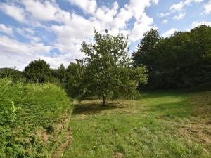 Prodej komerční nemovitosti, Česká Ves, Úzká, 280 m2
