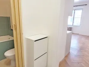Pronájem bytu 1+kk, Praha - Nusle, U křížku, 27 m2