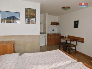 Pronájem bytu 1+kk, Bělá pod Bezdězem, Jenečská, 27 m2