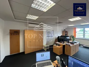 Pronájem kanceláře, Ostrava, Opavská, 80 m2