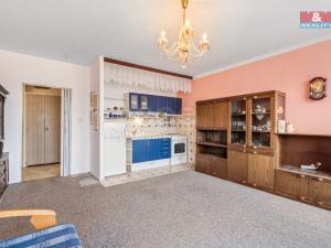Prodej bytu 2+kk, Ústí nad Labem - Krásné Březno, Žežická, 47 m2