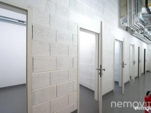 Pronájem bytu 3+kk, Praha - Nusle, Muzikova, 79 m2