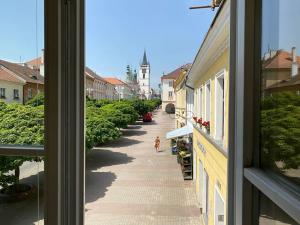 Pronájem bytu 2+kk, Litoměřice, Dlouhá, 43 m2