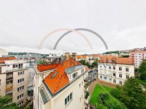 Pronájem bytu 1+kk, Praha - Podolí, Levá, 27 m2