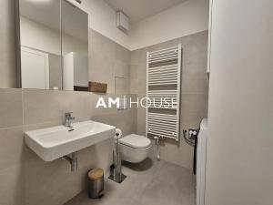 Pronájem bytu 2+kk, Praha - Žižkov, Pod Vítkovem, 60 m2