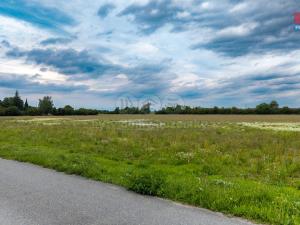 Prodej pozemku pro bydlení, Poděbrady - Velké Zboží, 1034 m2