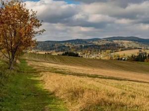 Pronájem ubytování, Vysoké nad Jizerou, 165 m2