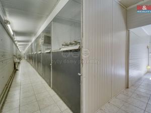 Prodej skladu, Lhůta, 1220 m2