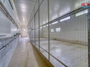 Prodej skladu, Lhůta, 1220 m2