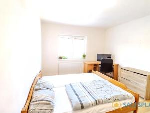 Prodej ubytování, Strachotín, Sklepní, 431 m2