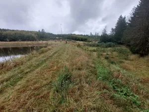 Pronájem rybníku, Brtnice, 16909 m2