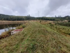 Pronájem rybníku, Brtnice, 16909 m2