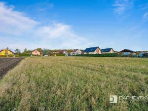 Prodej pozemku pro bydlení, Staré Hradiště, 5910 m2