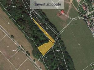 Prodej lesa, Úštěk - Držovice, 4976 m2