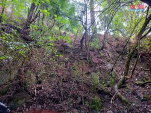 Prodej chalupy, Horosedly, 52 m2